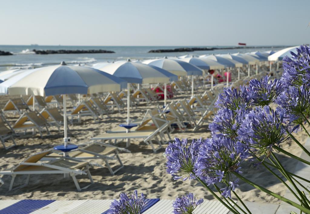 I Delfini Cupra Marittima